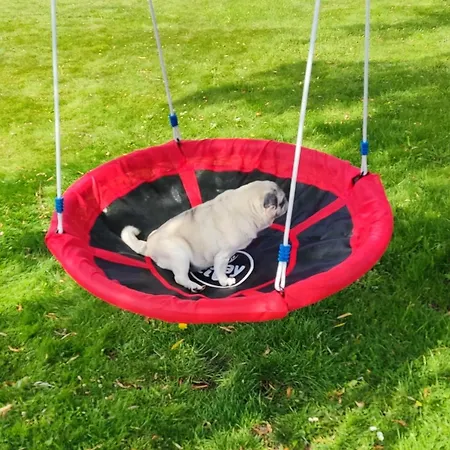 Farma U Janeckich Czarny Mlyn