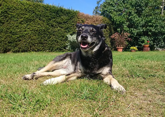 Farma U Janeckich Czarny Mlyn