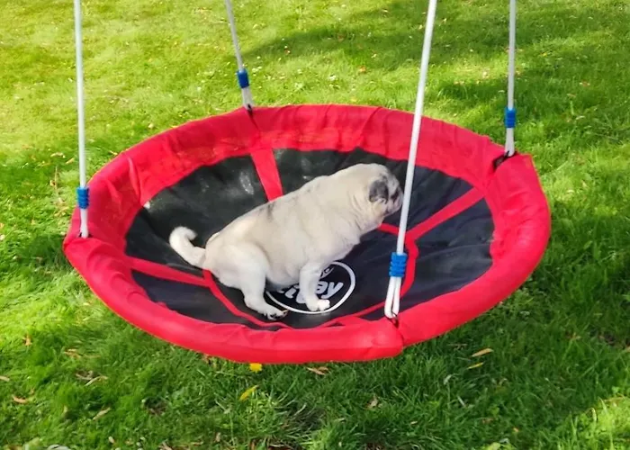 Farma U Janeckich Czarny Mlyn